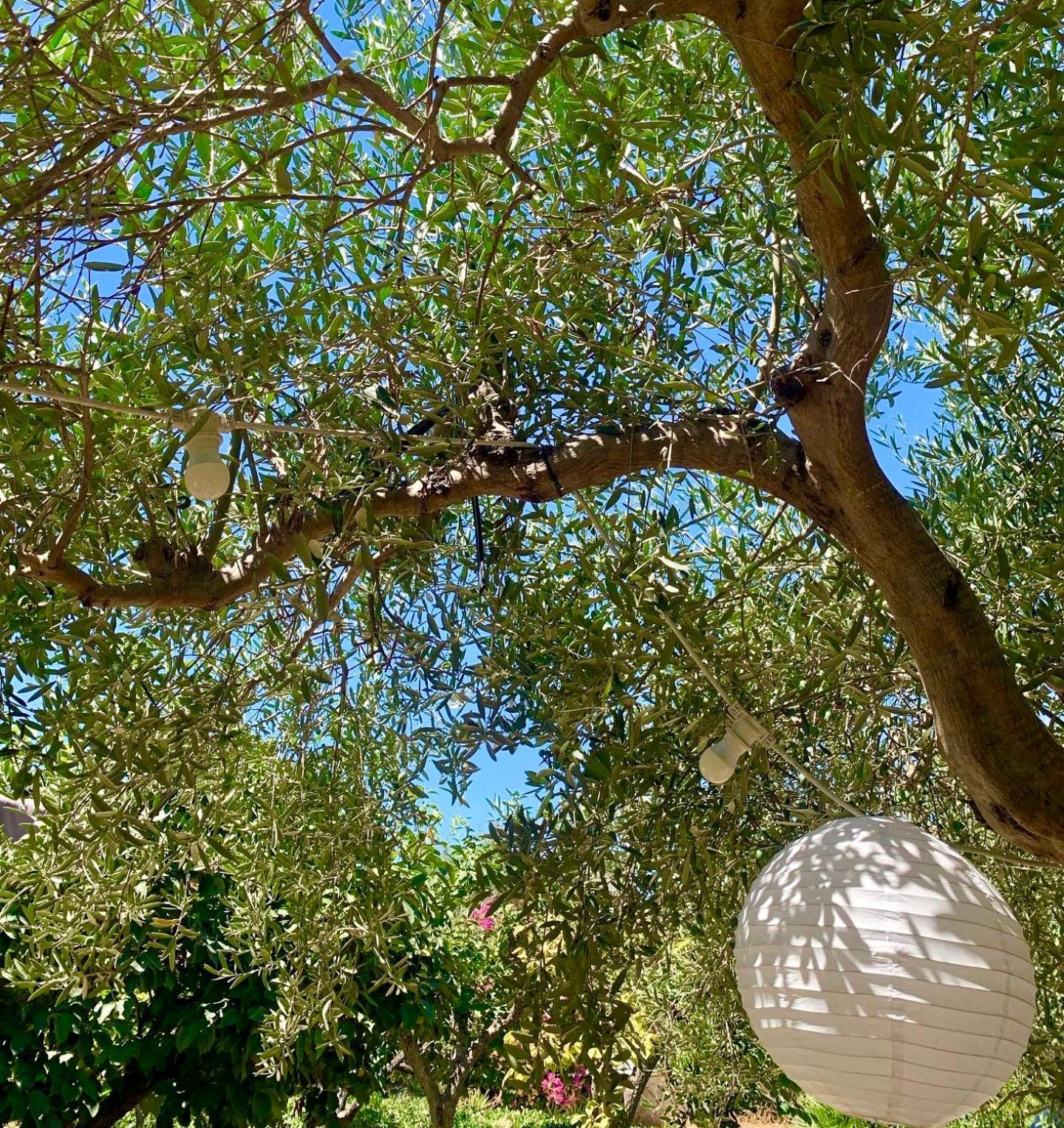 Villa Casa Dell'Olio - Al Baglio Paceco Exterior foto